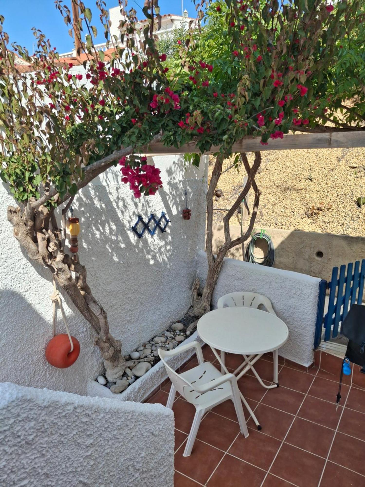 Bungalow Casiopea Internet 300 Mb Sat Smarttv El Campello Buitenkant foto